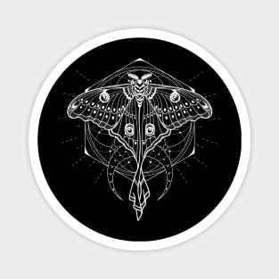 Luna Moth - Actias Luna Magnet